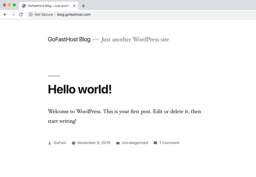 GoFast WordPress Blog ana sayfa